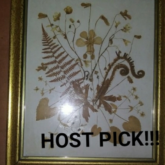 Vintage Other - 🌛 Vintage dried florals framed in gold
